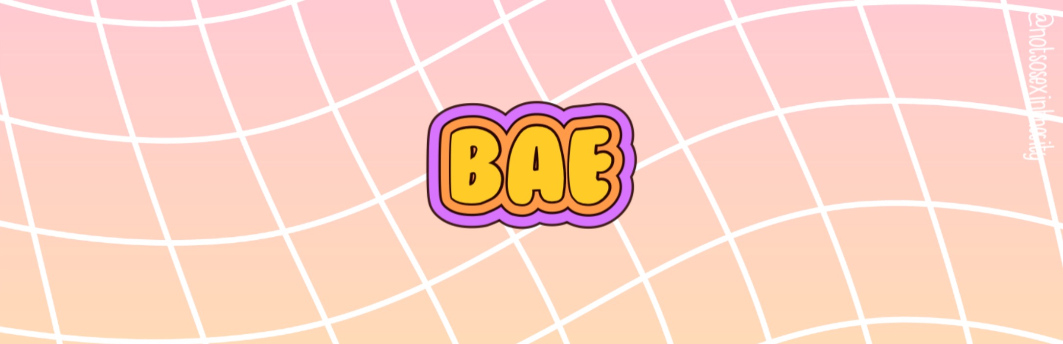 What Does BAE Mean